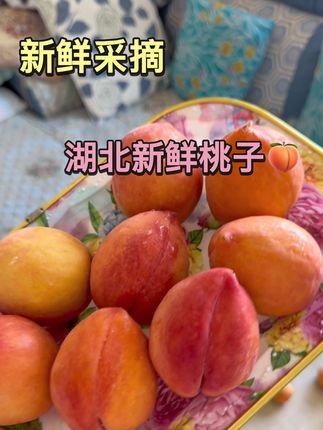 爱吃桃子的姐妹可以试试 超级甜 #新鲜采摘 #应季水果 #桃子熟了 #超级甜 #时令水果