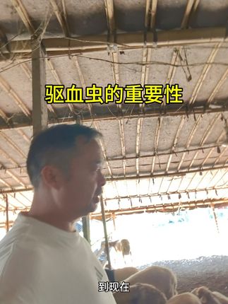 驱血虫的重要性