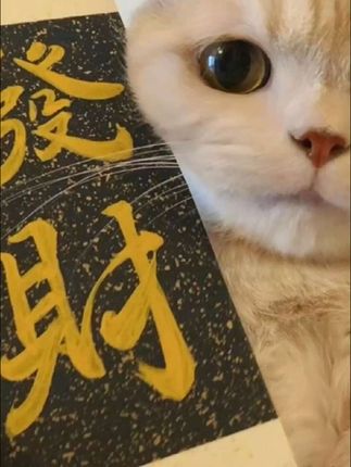 作为父母你一定要把这本《高考倒计时日历》送给孩子,让孩子每日打卡,备考陪伴 #高考日历 #送给孩子的礼物 #高考考点 #准高三 #备考