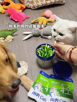 家喻户晓的小壳双十一预热搞活动,家里爱舔毛食欲不振的猫放心囤#养猫新手 #是宠物更是家人  #排毛 #小壳 #小壳猫草棒pro