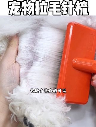 这个梳子真的是养宠人,人手一把!开结拉毛简直太好用了#萌宠好物 #狗狗梳子 #宠物用品 #针梳
