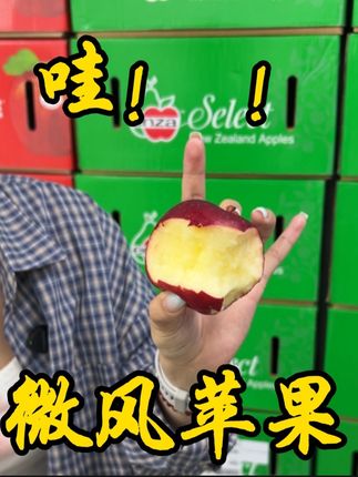 来来来,新西兰的微风苹果!酸酸甜甜,夏日限定~#新西兰微风苹果 #水果 #苹果 #好吃 #苹果礼盒