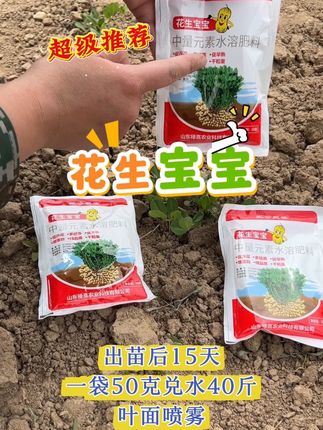 【花生高产秘籍!有它轻松逆袭】 种花生总担心苗弱、结荚少?试试这款“花生宝宝”中量元素水溶肥,专为花生定制的“增产神器”!,✅ 苗期用:出苗后15天,50克兑40斤水叶面喷雾,根系壮、苗杆粗,再也不怕秧子疯长!,✅ 花期用:促花又促针,花开得多、下针密密麻麻,结荚数直接翻倍!,✅ 后期用:保叶防衰,籽粒个个饱满,高产丰收稳稳拿捏!,👉 种花生的老乡们,别犹豫了!点击下单,今年花生产量直接“开挂”!#花生种植#花生种植好帮手#农业种植#三农种植#花生