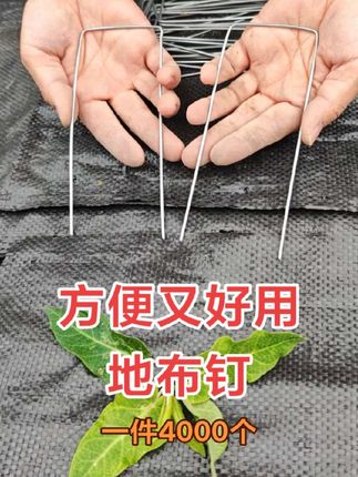 u型地布钉,固定防草布卡钉#源头实力厂家 #地布钉 #防草布地钉厂家 @抖音创作小助手 @抖音小助手