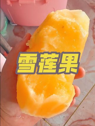 #云南天山雪莲果 #红心特级 #孕妇水果 #新鲜水果#应季水果