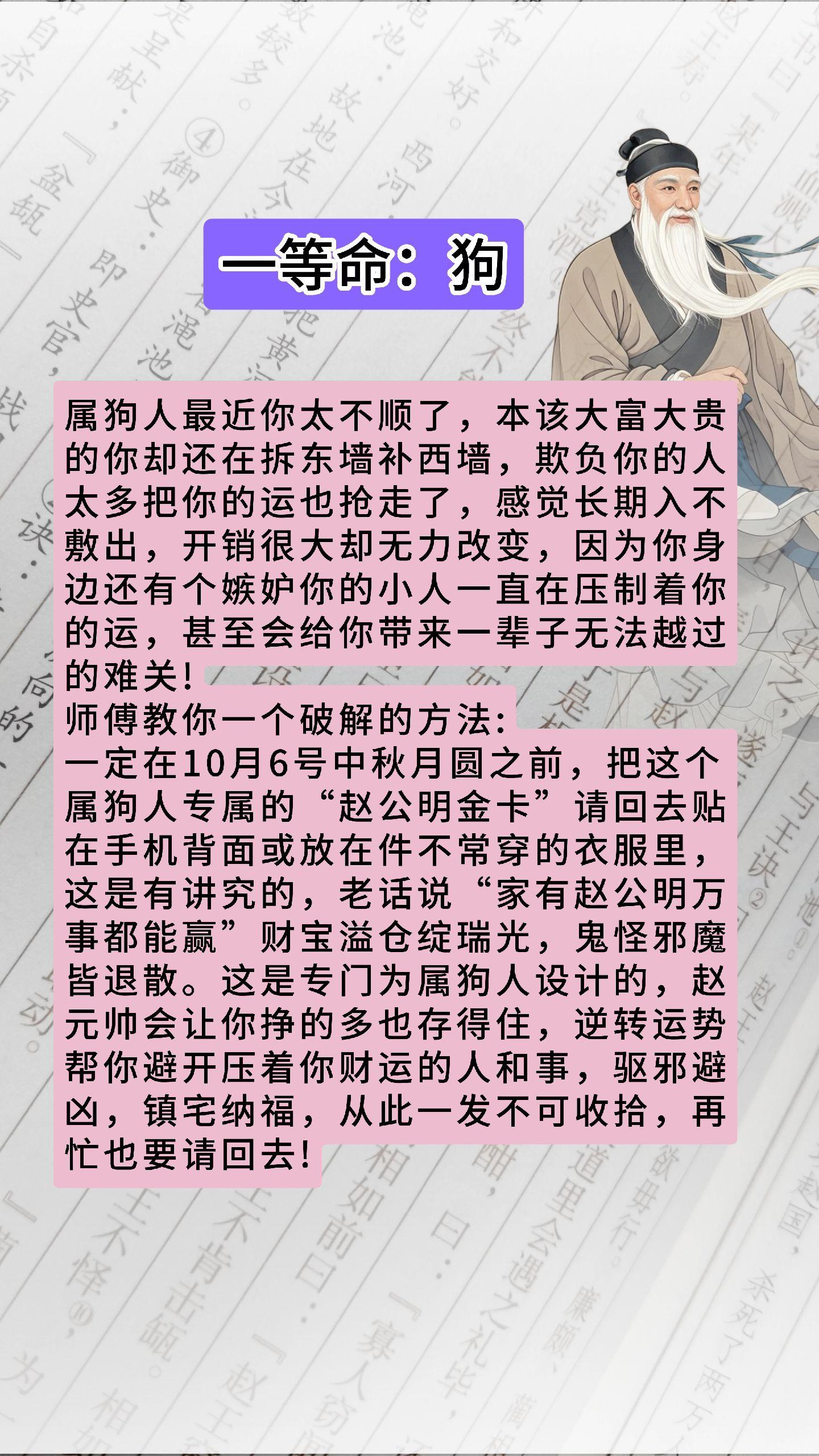 #狗 #属狗 #生肖狗