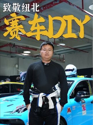 致敬纽北同款皮肤?原来又是一年一度的车贴大赏!#领克汽车运动 #赛车 #领克杯