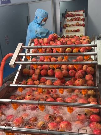 石榴你吃过,云南蒙自的石榴酒你喝过吗,酒度12度,不苦不涩鲜果酿造,果香浓郁#石榴酒 #果酒