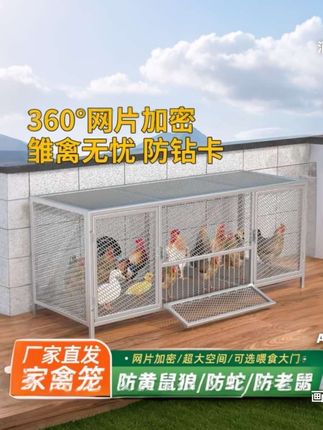 鸡笼子家用防鼠防黄鼠狼承重200斤测试 #家禽养殖笼#养鸡好物