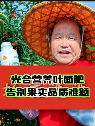 #果树挣大钱就找丁焕全 #丁老师果树修剪 @DOU+小助手