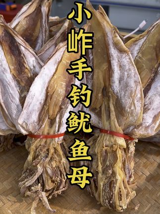 小岞鱿鱼母 今年新的小岞手钓鱿鱼母,#海产干货 #海鲜干货 #土特产 #鱿鱼母