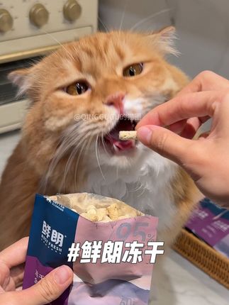 鲜朗也出来卷冻干试吃啦!4包试吃到手真的很划算~ #养猫新手 #主食冻干 #鲜朗 #鲜朗主食冻干