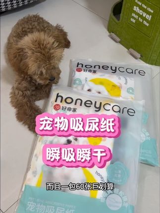 如果你家狗狗乱尿,告诉你一个好办法!就铺上一张吸尿纸!瞬吸瞬干!没有尿渍!还有股淡淡的山茶花香!#狗子乱尿 #养狗经验分享 #狗狗好物推荐 #宠物吸尿纸 #honeycare好命家