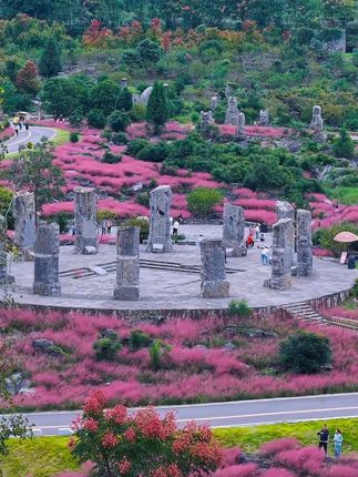 酉阳叠石花谷,闯入神秘石阵与花海的奇幻秘境#重庆周边游 #地质奇观 #网红花海 #非遗文化体验