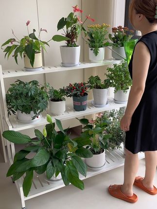 喜欢阳台养花的这个花架安排上证据又方便#花架