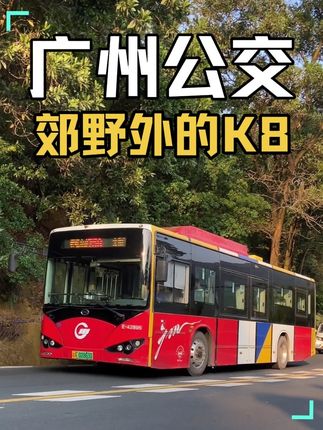 郊野外的广州K8 #公共交通 #城市公交 #公交车 #公交迷 #广州