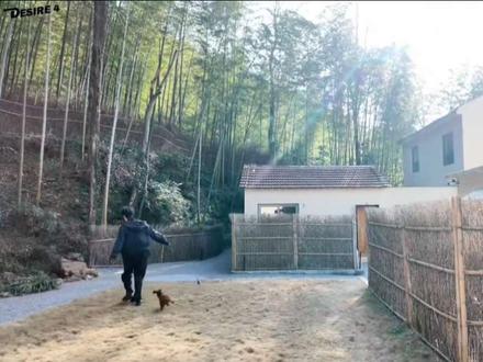 猜猜这是谁在奔跑呀#黄星 #邱鼎杰 #星有千千杰 #热门