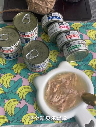 量大料足的汤罐#美食 #养猫新手 #养猫人 #宠物吃货 #养猫