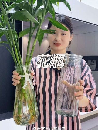 养花养不活,养富贵竹咱养的壮实实的。#花瓶 #透明花瓶玻璃 #养花人的乐趣