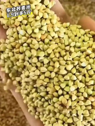 11.9到手整整五斤的东北荞麦仁米 直接和大米一起大米电饭锅煮,方便快捷又营养#粗粮 #荞麦米 #荞麦#老人小孩都爱吃 #五谷杂粮