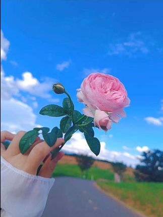 治愈人心又充满想象力的童诗,让孩子每天读一读,随便一句写近作文里都是锦上添花 #作文素材 #作文 #好书分享 #写作技巧