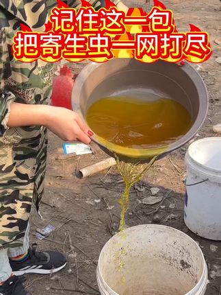 #鸡鸭鹅养殖#散养土鸡#养殖分享