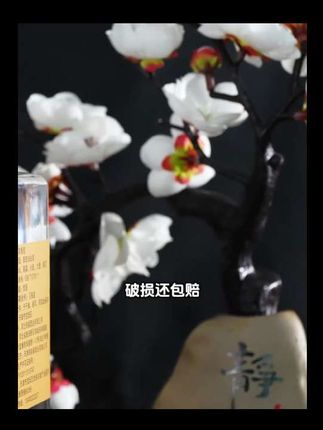 凡尘间正品初见1盒2瓶装礼盒固态白酒口粮粮食酒度500ml42度-52度