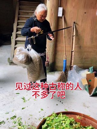 起早贪黑的采了十天,这么多才5斤6,野生金银花很轻,所以一斤干品量很多#大自然的馈赠 #我的乡村生活 #原创视频 #野金银花