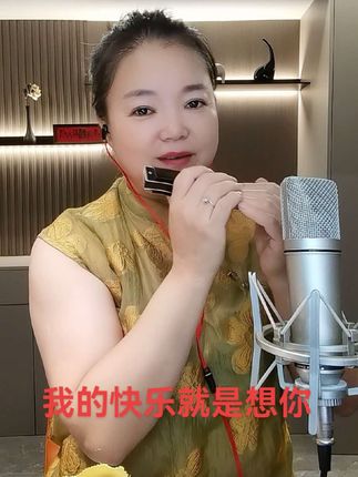 国之光波动音口琴,