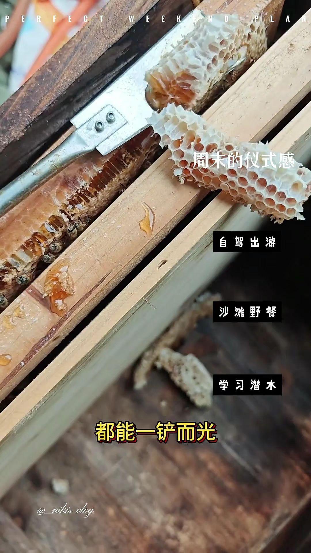 养殖设备猪用自动饮水器套装猪双头鸭嘴式镀锌产床墙上猪场用品 养殖设备猪用自动饮水器套装猪双头鸭嘴式镀锌产床墙上猪场用品#猪用自动饮水器 #养殖设备