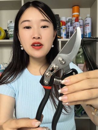 #园林修枝剪 #修枝剪 #修枝剪刀 #修枝剪枝 #超便宜超划算