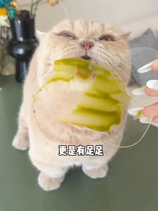 猫猫舔毛频繁呕吐一定要试试!全新升级的红狗化毛膏,#科学养宠 #化毛膏 #化毛球片 #萌宠好物 #新手养猫