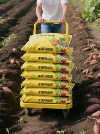 土地没活力、作物长不旺?选“黑金”羊粪发酵有机肥就对了! 历经180天高温深度发酵,虫卵病菌彻底清除,用着不烧苗,凑近只剩自然泥土香。腐殖质饱满、微量元素充足,能养根壮苗,让作物长势更快更旺盛! 板结地、泛碱地用它准没错,松地改土一步到位,还能增强土壤透气保水性,帮作物提升抗寒、抗旱、抗病能力。 不管是菜园种菜、种花草坪养护,还是盆栽种植、花卉培育,它都适用。颗粒细腻,拌土、追肥、做底肥都方便;防潮包装牢牢锁住肥力,用着干净不扬尘。 把“黑金”羊粪肥带回家,轻松焕活土地活力,坐等收获满棚硕果! #羊粪 #颗粒有机肥#羊粪发酵有机肥#有机羊粪 #抖音助农
