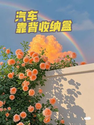 汽车靠背收纳盒,包容你的杯子,纸巾,包包,还能当手机支架,你也心动了吧?#汽车收纳盒 #杯子收纳盒 #多功能收纳盒 #收纳整理