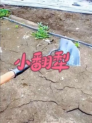 #小翻犁 #锄头 #农具 #园林工具 #助力三农