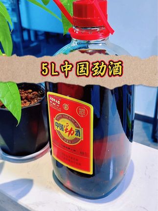 夜幕降临灯亮起,劲酒入杯香四溢,与亲友举杯共享此刻美好,每一刻都值得铭记#好酒推荐 #中国劲酒 #中国劲酒杯云尚宜昌 #大容量 #劲牌劲峰专卖店