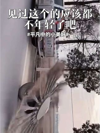 扫院子你还在用这种竹扫把吗?快来试试这个! #强烈推荐 #居家好物 #扫地机器人 #扫把