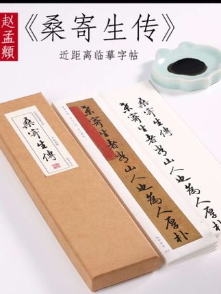 赵孟頫行书《桑寄生传》近距离临摹字帖。#练字 #书法学习 #抖音书法热门 #写字是一种生活