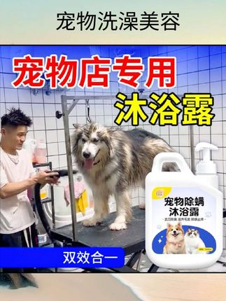 比熊沐浴露白毛专用持久留香宠物犬洗澡浴液抑菌蓬松狗狗日常用品#00后毕业大学生 #家政改变女人 #商工喜讯 #好物推荐🔥 #深夜加班