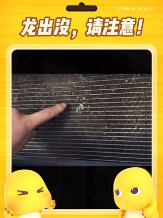 红旗专车专用防虫网,原车开模,安装简单,抓紧给自己的爱车安排上.#车载好物 #防虫网 #汽车用品