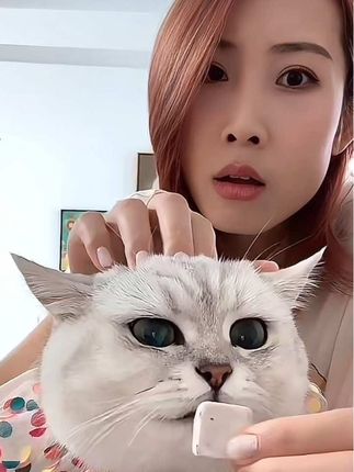 恩们老芬有自己的审美 不喜喜的衣服就是不穿~除非用吃的诱惑恩们哈哈哈
