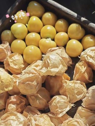 吃过这种东北的特色水果菇娘果吧,吃起来香甜可口,饱满多汁,咬上一口简直不要太爽了,它的口感非常独特喜欢的朋友千万不要错过,赶紧买来尝一尝吧!#好物推荐🔥 #菇娘果