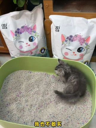 比亿奇家用膨润土猫砂微尘原味奶香高品质猫砂10斤除臭结团不沾底#好物推荐🔥 #宠物猫 #猫砂 #养猫新手 #萌宠好物
