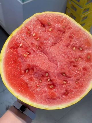 金皇后赤金西瓜你吃过吗,黄皮红肉,一藤一瓜,脆甜多汁,香甜多汁,它是西瓜中的劳斯莱斯#赤金西瓜 #新鲜采摘 #口感特别好 #梦中情瓜 #金皇后西瓜