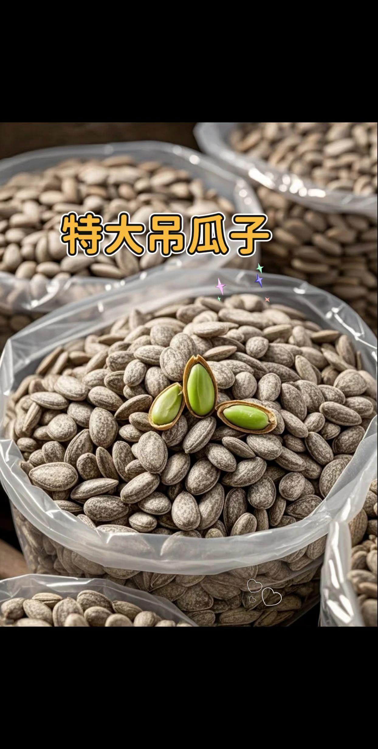 特大吊瓜子。#吊瓜子 #吊瓜子的营养价值 #健康养身 #优质农产品 #瓜子