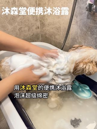 沐森堂便携沐浴露,在家给狗洗澡超方便 #宠物洗护美容 #狗狗的日常 #宠物出道计划 #宠物洗护 #宠物造型