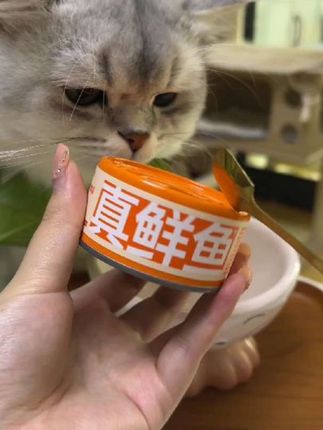 周日开罐时间到~#猫咪主食罐 #阿飞和巴弟