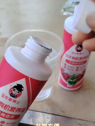 养三角梅记住这口诀 你就是养三角梅高手 #好物分享推荐 #三角梅营养液