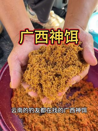 广西神饵肉松饵 云南钓鱼都在找的广西神饵#鱼饵推荐 #钓鱼饵料 #广西神饵 #爆护饵料