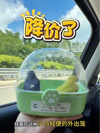 便宜又好用的外出笼,小巧轻盈,提在手上没什么重量感。反扣式开关,防止小鸟打开,又带底网又带水壶,太适合给小鸟外出用了。#好物推荐🔥 #鹦鹉 #手养鹦鹉 #强烈推荐 #家有宠物